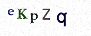 Visual Confirmation Security Code